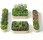 4-Pack 18” Tall Galvanized Raised Garden Beds – Small Space Garden Layout by Annoell