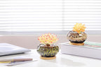 Cute Ceramic Succulent Garden Pots, Planter - Image 5