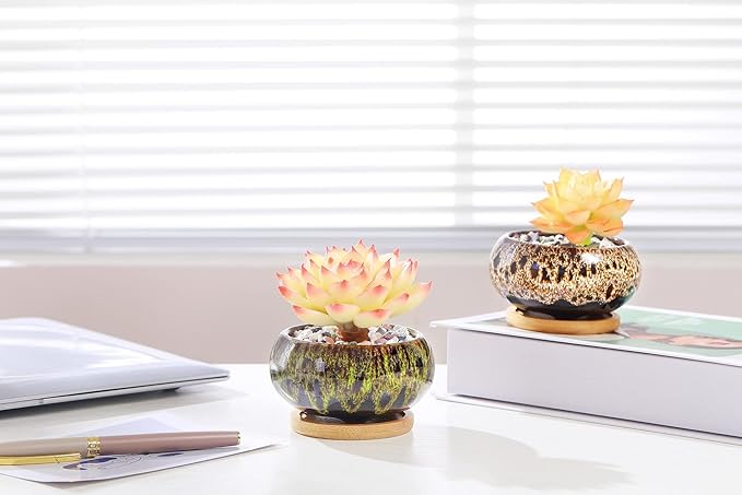 Cute Ceramic Succulent Garden Pots, Planter - Image 5