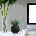 Winlyn Set of 3 Artificial Succulent Plants in Black Concrete Pots Faux Aloe - Image 9