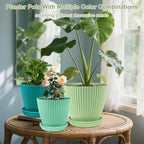 SupKing Large Plant Pots 7.5/6.7/6 Inch Set of 3, Plastic Flower Pots Planters - Image 4