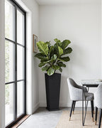 Greesum Set of 2 Tall Plastic Planters - Image 7