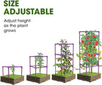 3 Pack Tomato Cages, Square Tomato Plant Stakes Support Cages Trellis - Image 3