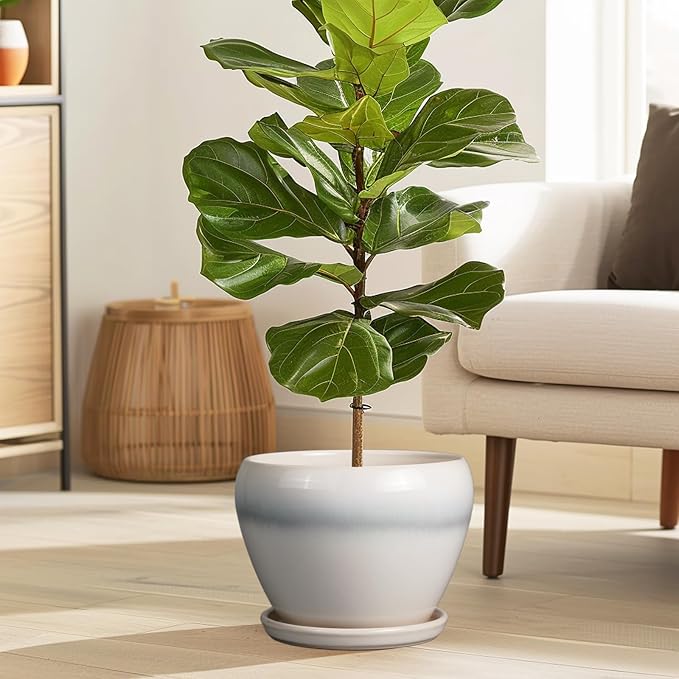 Ceramic Planter - Image 2