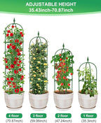 Garden Trellis for Climbing Plants Outdoor & Indoor - 6Ft Tall Rustproof Plant - Image 4