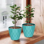 6 Pack 7 Inch Indoor Plant Pots - Image 8