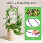 3 Pack Colorful Acrylic Plant Trellis - Image 3