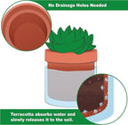 Phoenix Vine 4 Inch Self Watering Planter Pot, Terracotta Clay Pot - Image 3