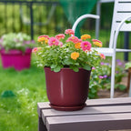 Ceramic Planter - Image 4