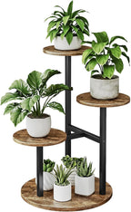 Plant Stand Indoor 4 Tier 5 Potted Multiple Flower Pot Holder by INGIORDAR