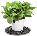 15 PCS Plant Level Pot Elevator, 12 inch Plastic Potted Plant Stands, Large - Image 4