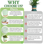 Self-Watering Plant Pots for Indoor Plants: 5/6 Inch Plastic Planter - Image 4