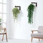 Wavy Plant Hanger Hooks – 2 Pack Rustic Wooden Wall Mounts - Image 3