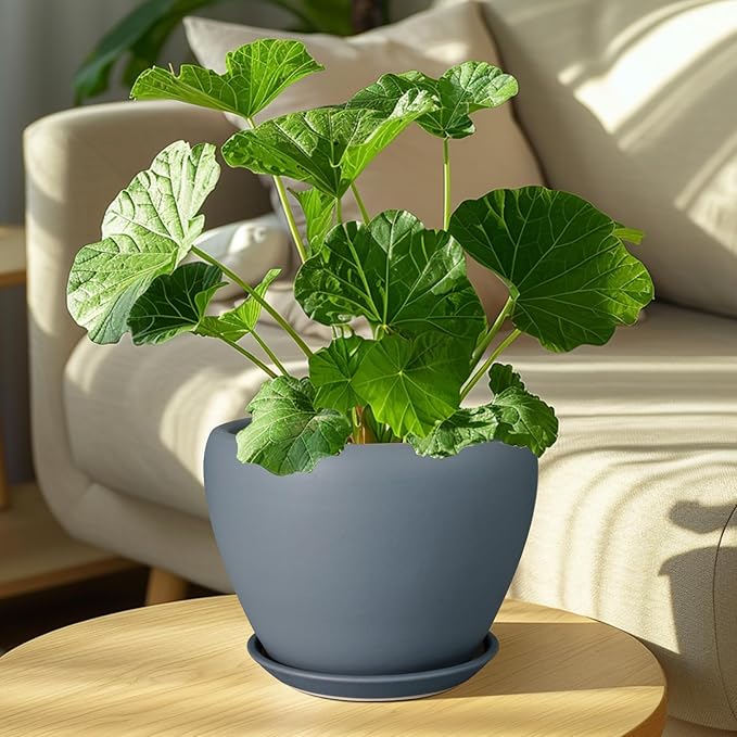 Ceramic Pot for Plants - Image 7