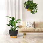 ZMTECH 12 Inch Hanging Planters - Image 8