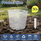 5.5 Inch Clear Square Nursery Pots - Image 3