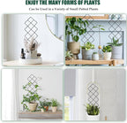 Metal Trellis for Climbing Plants Indoor, 16.36 inch Small Trellis for Potted - Image 4