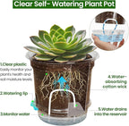 18 Pack 6.5/5/4 Inch Clear Self Watering Plant Pots - Image 4