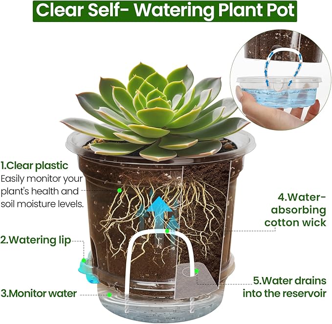 20 Pack 5 Inch Clear Self Watering Plant Pots - Image 4