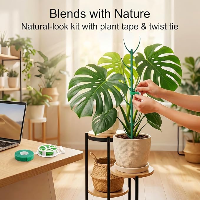 30-Pack Monstera Plant Support Stakes - Image 5