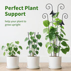 2 Pack 30 Inch Taller Plant Trellis - Image 6