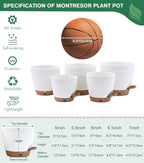 montresor 5-Pack Self-Watering Planters - Image 5