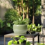 SQOWL Ceramic Planter - Image 5