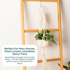 Nook Theory 4-Pack Macrame Plant Hangers - Image 8