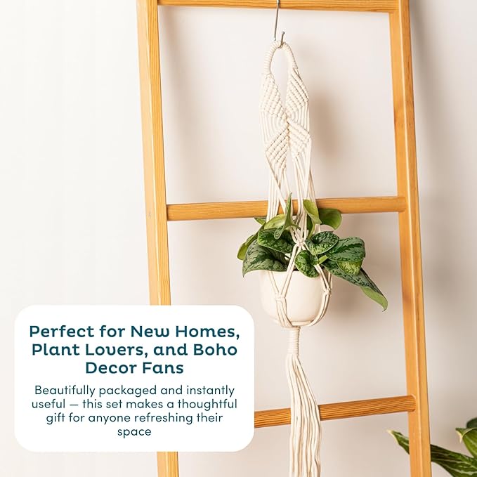 Nook Theory 4-Pack Macrame Plant Hangers - Image 8