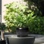 SQOWL Ceramic Plant Pot - Image 4