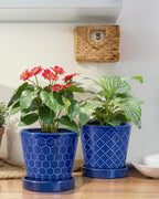 EFISPSS Ceramic Plant Pots, 5Inch Pots - Image 5