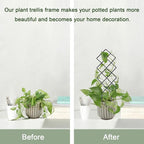 Metal Trellis for Climbing Plants Indoor, 16.36 inch Small Trellis for Potted - Image 5