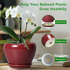 Ceramic Pot for Plants - Image 6