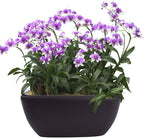 Vencer 10.8 Inch Plastic Square Self Watering Planter, Water Indicator - Image 4