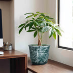 8 Inch Plant Pot - Image 3