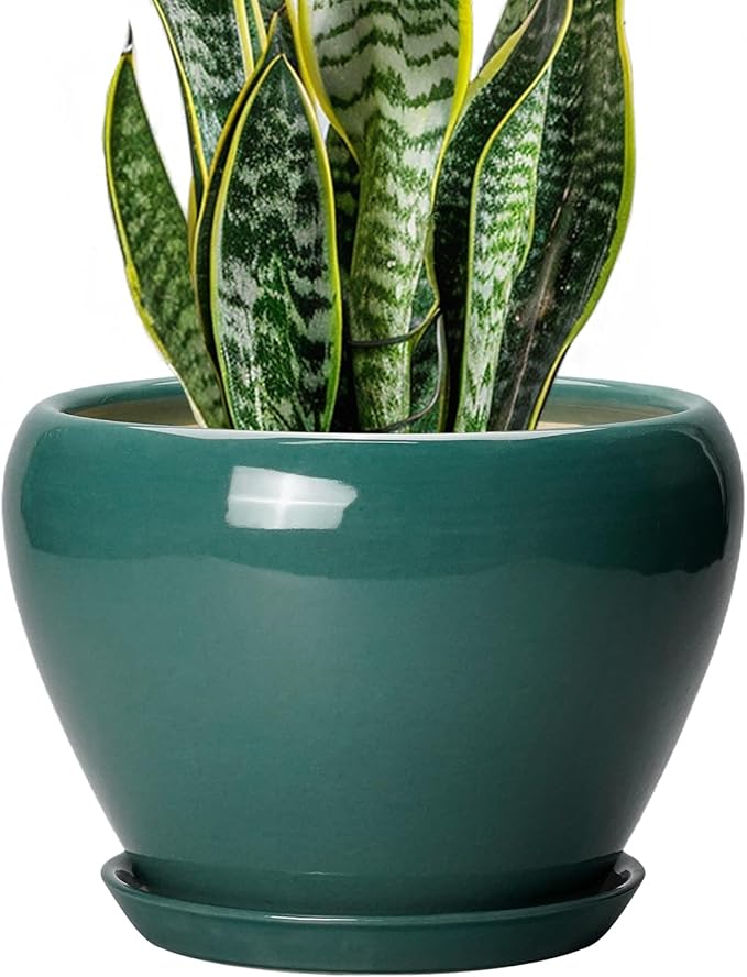 8 Inch Plant Pot by Ceramicfor