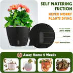 Self Watering Pots for Indoor Plants, Small African Violet Pots - Image 2