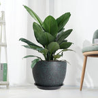 12inch Large Plant Pot, Modern Plastic Planter - Image 7