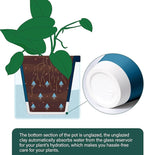 D'vine Dev 8 Inch Design Self Watering Planter - Image 5