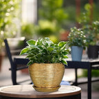 Indoor Plant Pot 6 Inch - Image 4