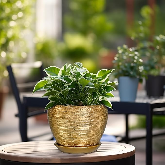 Indoor Plant Pot 6 Inch - Image 4