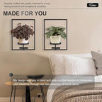 Sisher Plant Stand Indoor Outdoor, Window Plant Shelf Picture Frame Wall Plant - Image 4