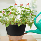 12 inch Large Self Watering Plant Pots, Flower Pots Planters - Image 6