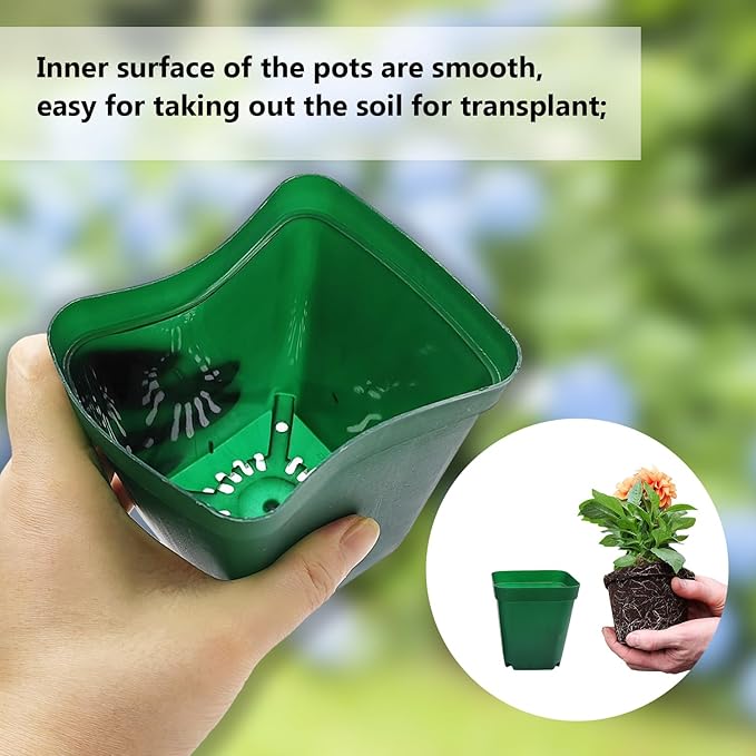 Square Nursery Succulent Pots 4 Inches 60 Pcs Deep Flower Plant Nursery - Image 3