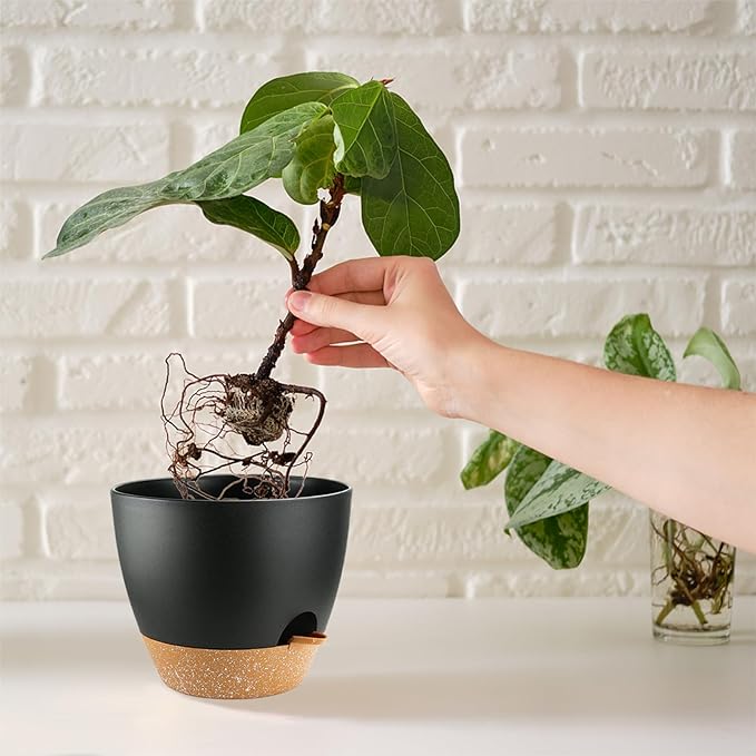 Indoor Pots For Plant Self Watering Plant Pots For Lazy People, - Image 6
