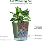 4 inch Self Watering Pots for Indoor Plants, 5 Pack Small Flower Plant Pots - Image 4