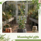 3 Pcs 15.75 Inch Indoor Plant Trellis - Image 6
