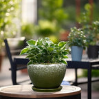 6 Inch Plant Pot - Image 2
