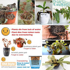 5 Pack Self Watering Plant Pots 5/6.7/8.4 In Self Watering Planters - Image 3