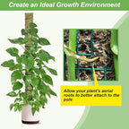 60"/40"/24" Metal Moss Pole, D Shape Sphagnum Moss Pole, Moss Poles - Image 5